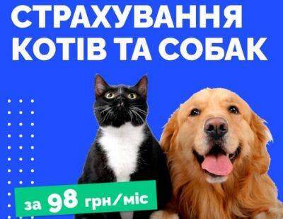 Finance.ua запустили страхование кошек и собак - minfin.com.ua - Украина - Швеция