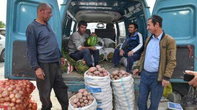 На севере Таджикистана растут цены на картофель - dialog.tj - Таджикистан - Согдийская обл. - Культура