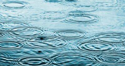 Ядовитые дожди на Земле. Ученые обнаружили опасные токсичные вещества в дождевой воде - focus.ua - Украина - Антарктида - Стокгольм