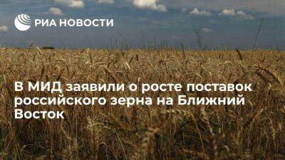 Глава департамента МИД заявил, что поставки российского зерна на Ближний Восток растут - smartmoney.one - Россия - США - Египет - Судан