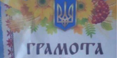В российской Чите детям в садике вручили грамоты с гербом Украины. Руководителя уже уволили - nv.ua - Россия - Украина - Чита