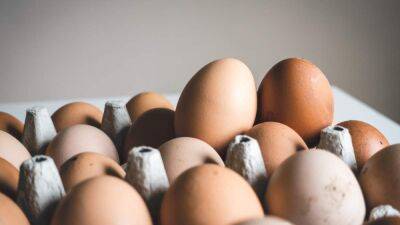 Как проверить свежее яйцо или нет: полезные методы - 24tv.ua