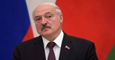 Александр Лукашенко - Лукашенко: мира на Украине можно достичь в течение нескольких дней - dialog.tj - Украина - Швейцария - Белоруссия - Судан - Бразилия - Куба - Эмираты - Палестина - Бирма - Аргентина - Босния и Герцеговина - Бенин