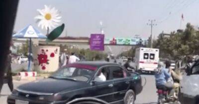 Усама Бен-Ладен - В Кабуле терорист-смертник подорвался возле посольства РФ: погибли два дипломата (видео) - focus.ua - Россия - США - Украина - Афганистан - Посольство - Кабул